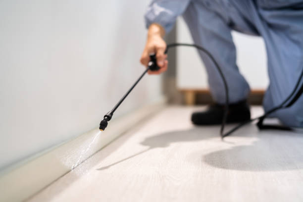 Bed Bug Pre-Treatment Preparation Assessment in Mill City