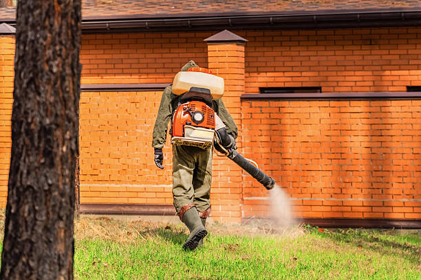 Bed Bug Clearance Verification and Documentation in Mill City